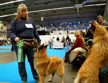 Dixi BIM med CACIB, imponerad (?) Kaxie (?)